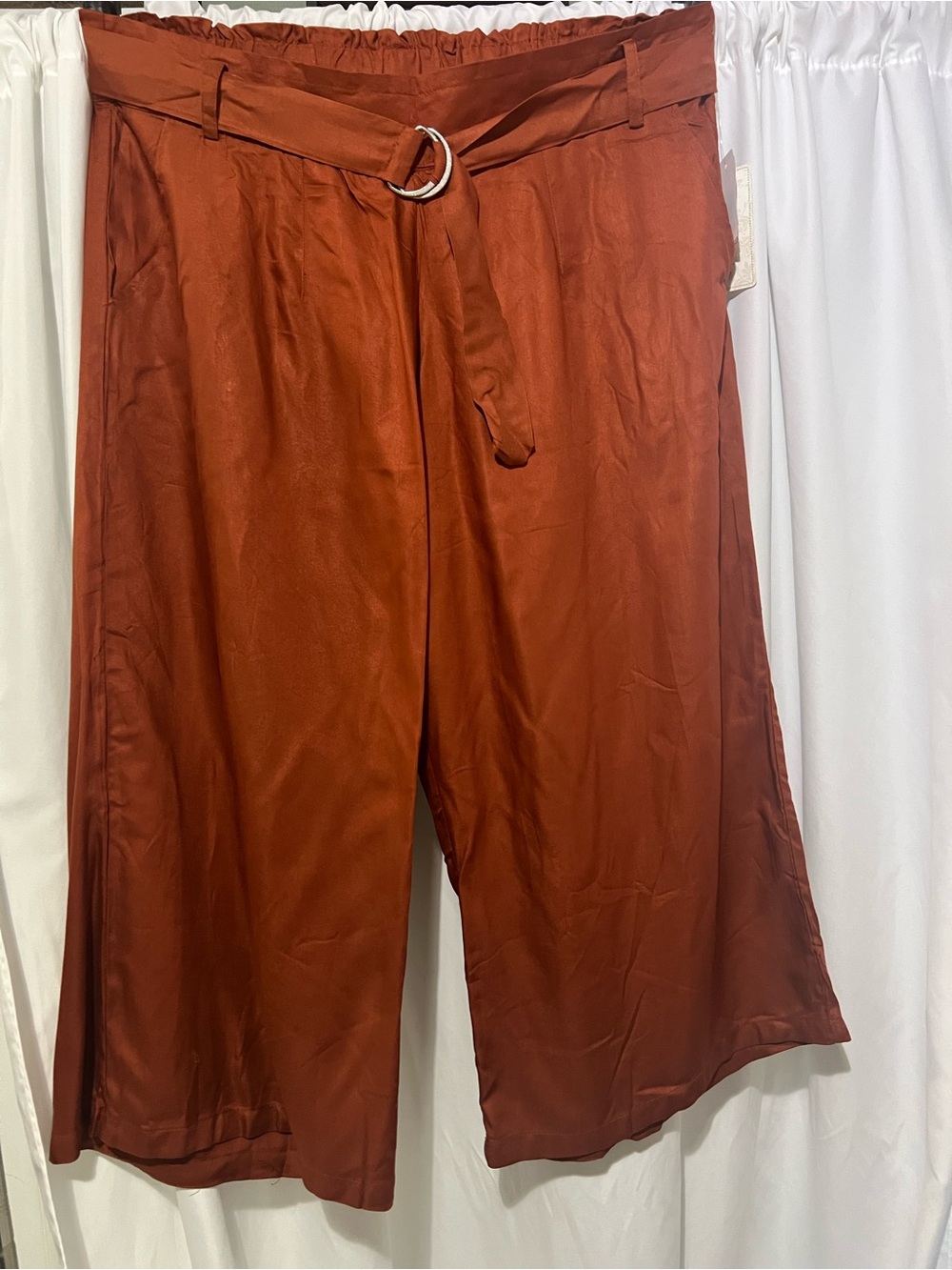 French Laundry Wide-Leg Belted Pants in Rust/burnt Orange 3X